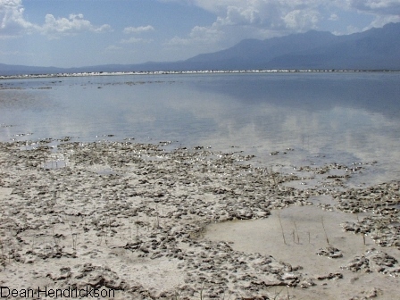 Photo taken in Cuatro Cienegas